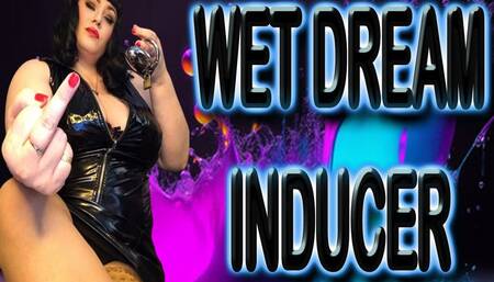 WET DREAM INDUCER