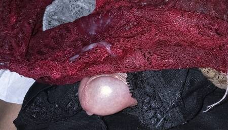 Fetish with My Cousin's Panties