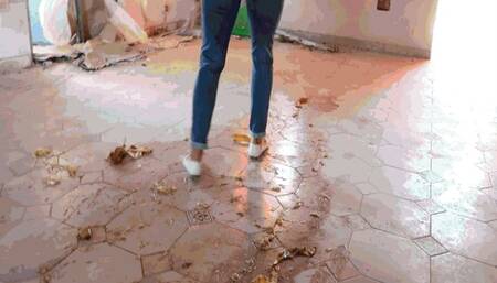 Sliding ballet flats AVI(1280x720)FHD