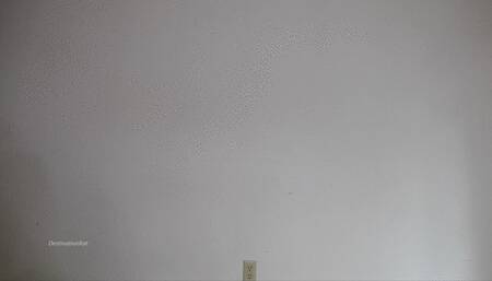 Growing a Belly For You