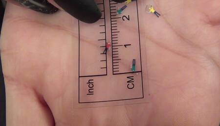 Cinnamon Swallows Micro Men!