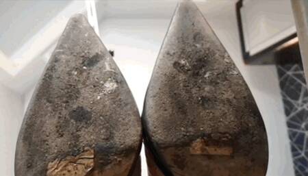 CC - My shoeslicker , Full