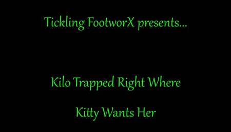 Kilo Trapped Right Where Kitty Wants Her