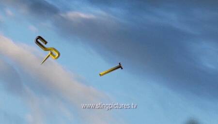 Bully Step Brother HD SPECIAL OFFER