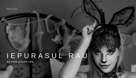 Iepurasul Rau da note Putzei Tale