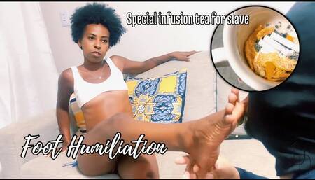 Special infusion tea for slave.