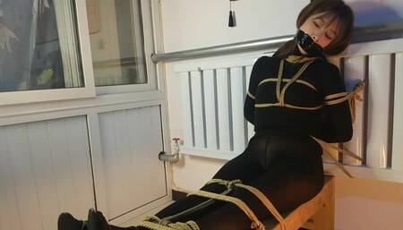 I put my pet on a bench to train her and almost let her run away.