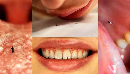 Giantess & Tiny Stepbrother CUSTOM