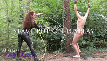 Mistress Lady Renee - Hosed down bitch - mp4