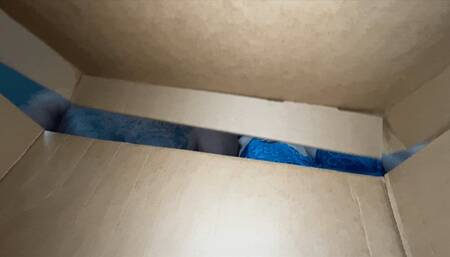 Shrunken, Cucked, & Dominated By Your Sexy Ex-Girlfriend Kitty Quinn & Her New BBC Lover Tempo (SD 720p WMV)