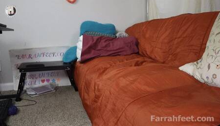 Snow Bunny Soles ignores you