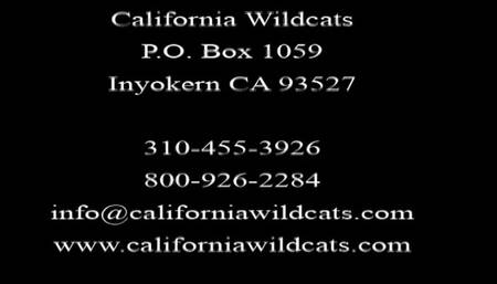 CW 143 Fantasy In Oil Volume 4