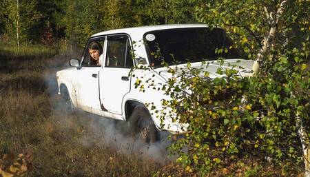CAR CRUSH Ellie broke trees with her car
