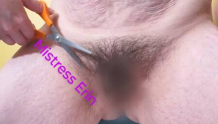 Trimming My Bush with Scissors