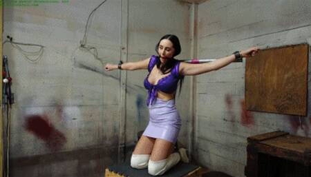 Secured in heavy manacles for intense bound orgasms (WMV HD 8000kbps)