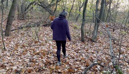 stuck in the woods wmv