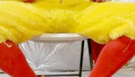 Chicken Wants His Talons cleaned