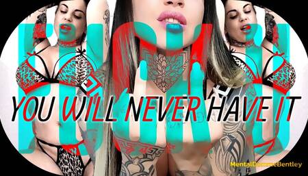 YOU WILL NEVER HAVE IT