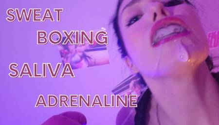 Saliva Boxing Championship