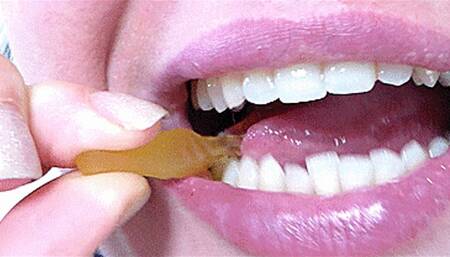 with sharp fangs avi