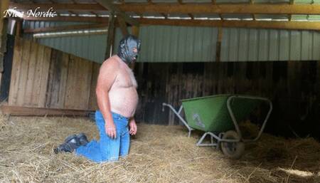 new chaste stable boy at work