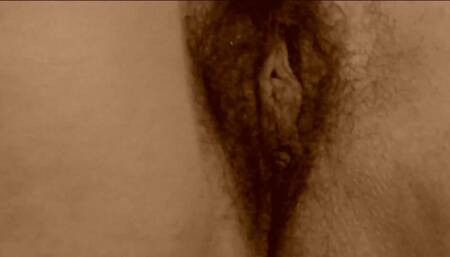 Wonderful hairy pussy to see up close 1080HD