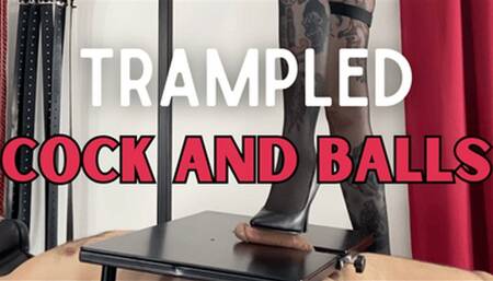 Trampled Cock and Balls