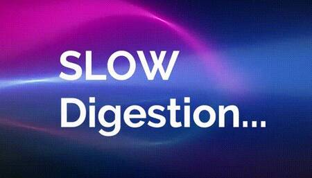 Slow Digestion *wmv*