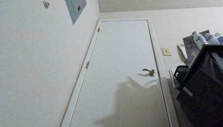 Tiny Human Trapped In Giantess Room Desperately Tries To Escape Pov 4K smaller