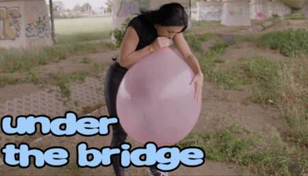 1354 under the bridge VII 4K