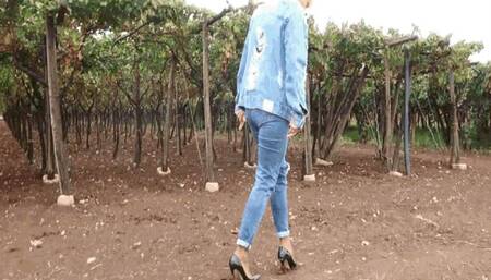 Vineyard walk WMV(1280x720)FHD