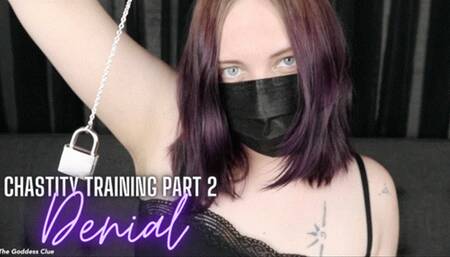 Chastity Training Part 2: Denail - HD