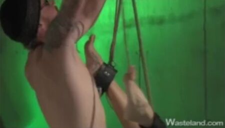 Daisy Duxe BDSM Matrix