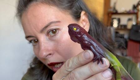 having fun with a lizard mov