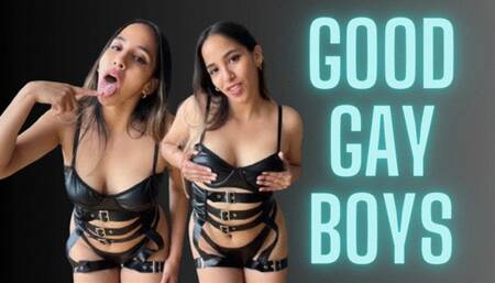 GOOD GAY BOYS bisexual encouragement Affirmations