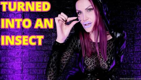 TURNED INTO AN INSECT