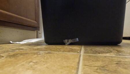 Teenie Sneaking into Giantess Trash POV 1080