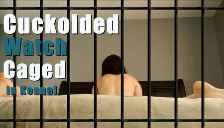 Cuckolded Watch Caged in Kennel at the Foot Of Bed POV - Kylie Jacobsx - MP4 720p HD