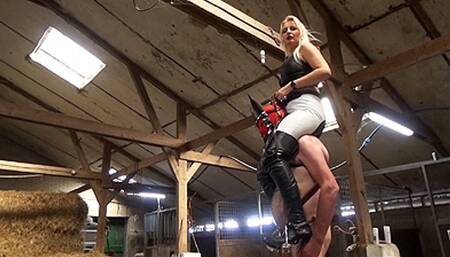 Back to the stable - 1 - MP4