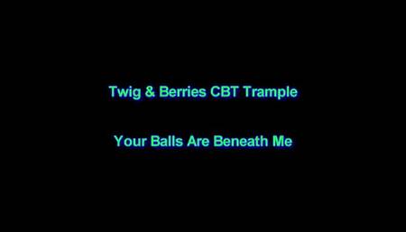 Your Balls Are Beneath Me