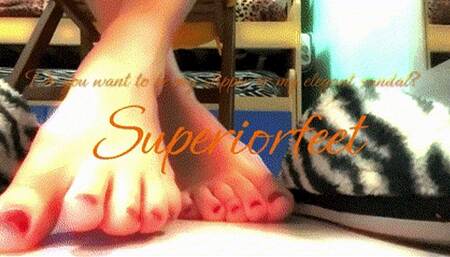 Do you want to be my slipper or my elegant sandal?