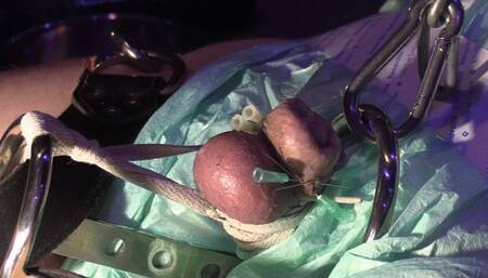 cbt movie the small version of this freestyle piercing stretching and more