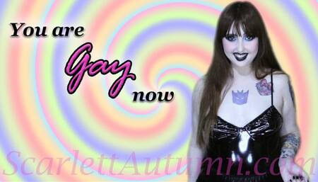 You are Gay now - MP4 HD 1080p