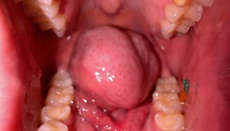 Giantess Cirilla - Final Wishes