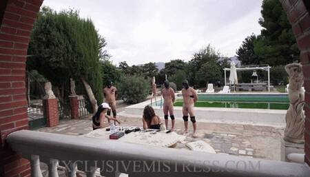 S343 Distribution of slaps