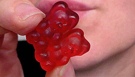 gummi bears order avi