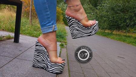 my zebra wedges in the park