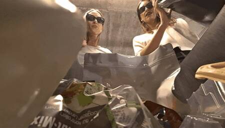 Your final day in my trash can