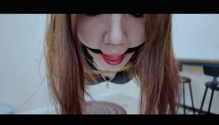 YT2208 Boya Hogtied Suspended