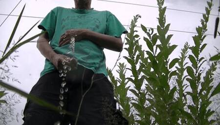 Step-daddy's pee and cum (HD)